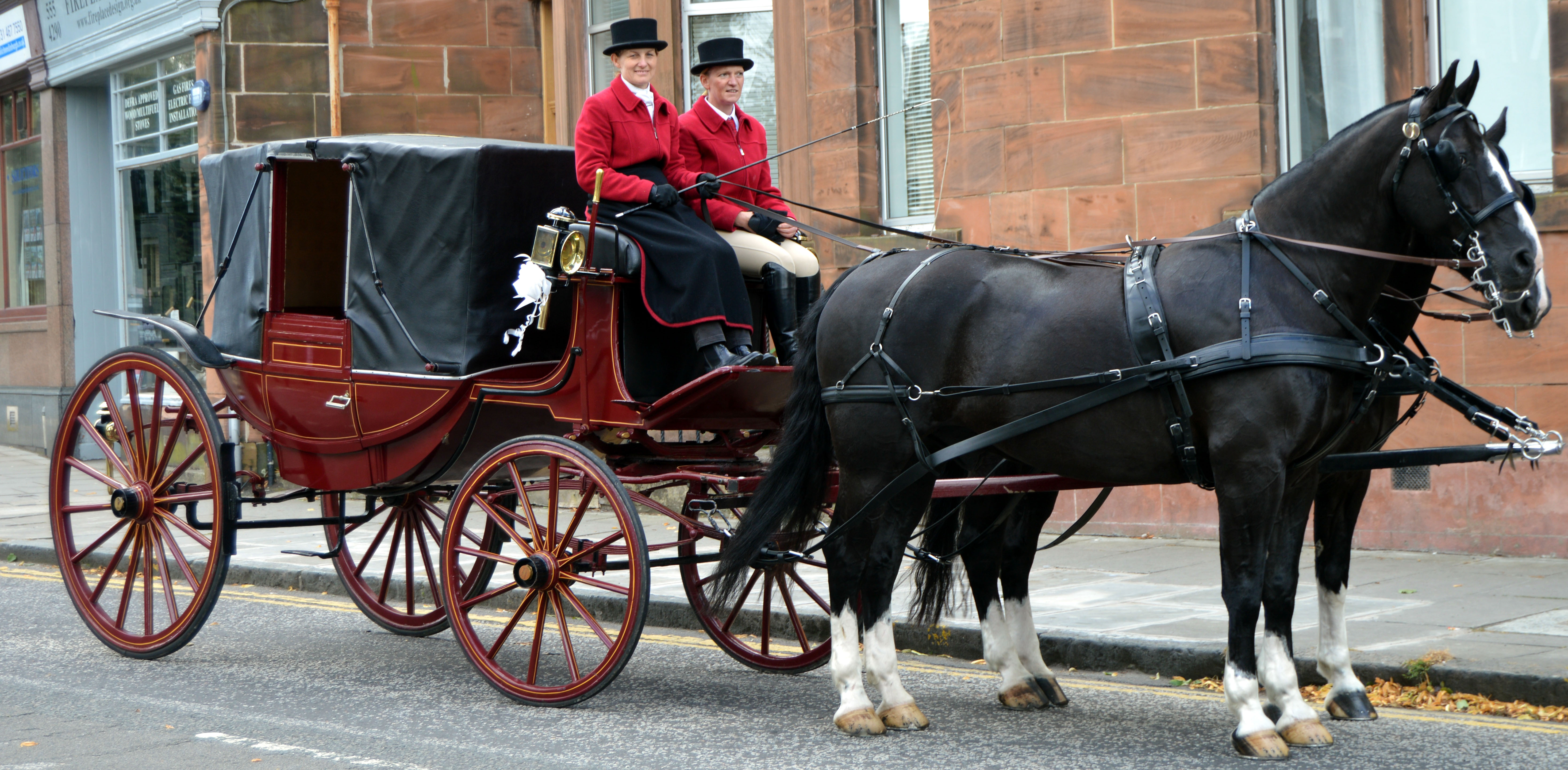 Horse and Cart Image
